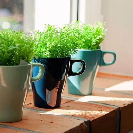 منتزه العطل Pajda Mazur - Osrodek Wypoczynkowy *